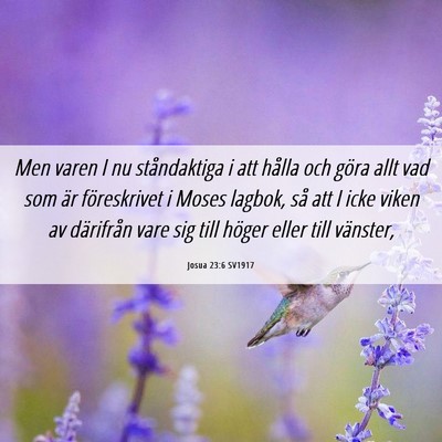 Picture 06 - Josua 23:6 SV1917 - Men varen I nu ståndaktiga i att hålla och - Bible Verse Picture