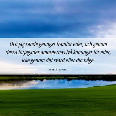 Picture 06 - Josua 24:12 SV1917 - Och jag sände getingar framför eder, och genom - Bible Verse Picture
