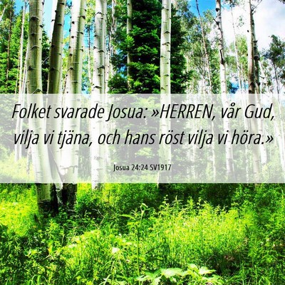 Picture 06 - Josua 24:24 SV1917 - Folket svarade Josua: »HERREN, vår Gud, vilja - Bible Verse Picture