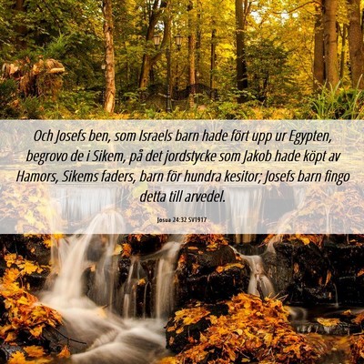 Picture 06 - Josua 24:32 SV1917 - Och Josefs ben, som Israels barn hade fört upp - Bible Verse Picture