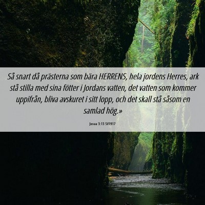 Picture 06 - Josua 3:13 SV1917 - Så snart då prästerna som bära HERRENS, hela - Bible Verse Picture