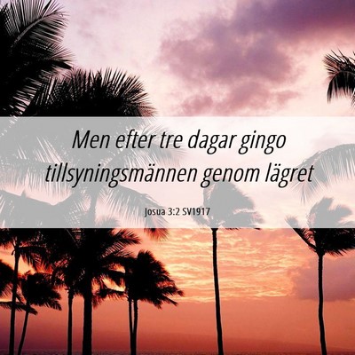 Picture 06 - Josua 3:2 SV1917 - Men efter tre dagar gingo tillsyningsmännen - Bible Verse Picture