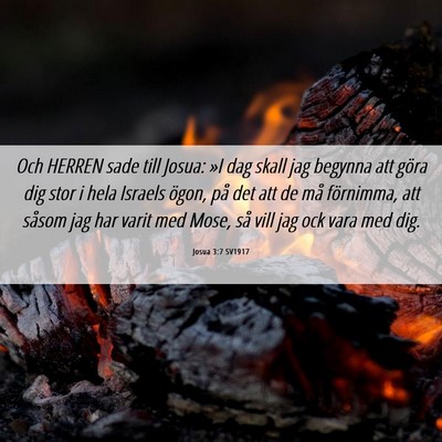 Picture 06 - Josua 3:7 SV1917 - Och HERREN sade till Josua: »I dag skall jag - Bible Verse Picture