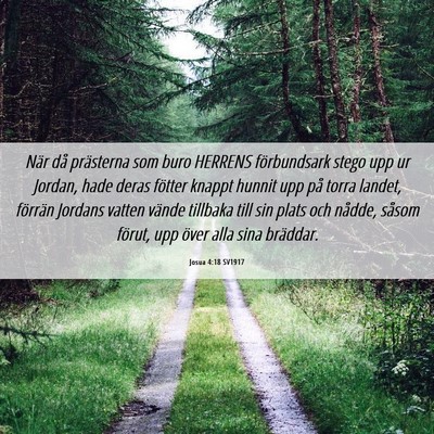 Picture 06 - Josua 4:18 SV1917 - När då prästerna som buro HERRENS förbundsark - Bible Verse Picture