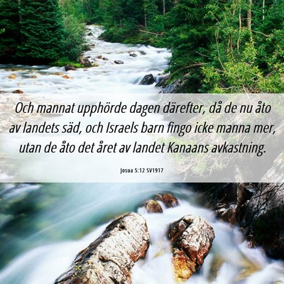 Picture 06 - Josua 5:12 SV1917 - Och mannat upphörde dagen därefter, då de nu - Bible Verse Picture