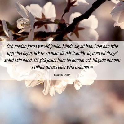 Picture 06 - Josua 5:13 SV1917 - Och medan Josua var vid Jeriko, hände sig att - Bible Verse Picture