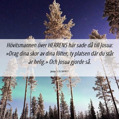 Picture 06 - Josua 5:15 SV1917 - Hövitsmannen över HERRENS här sade då till - Bible Verse Picture