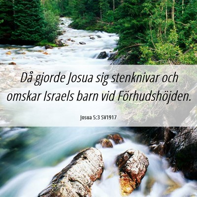 Picture 06 - Josua 5:3 SV1917 - Då gjorde Josua sig stenknivar och omskar - Bible Verse Picture