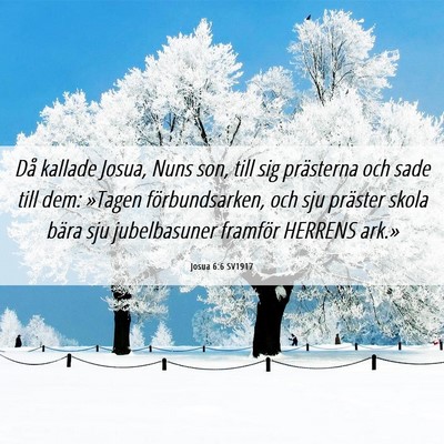 Picture 06 - Josua 6:6 SV1917 - Då kallade Josua, Nuns son, till sig prästerna - Bible Verse Picture