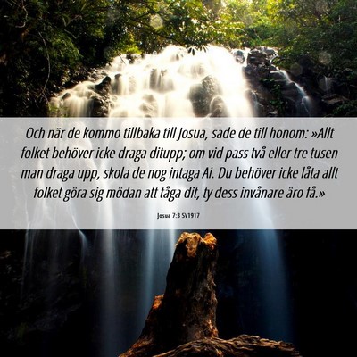 Picture 06 - Josua 7:3 SV1917 - Och när de kommo tillbaka till Josua, sade de - Bible Verse Picture