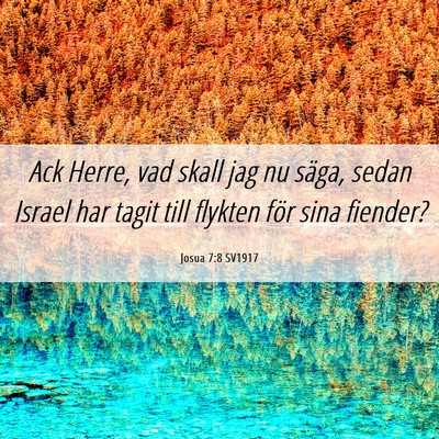 Picture 06 - Josua 7:8 SV1917 - Ack Herre, vad skall jag nu säga, sedan Israel - Bible Verse Picture