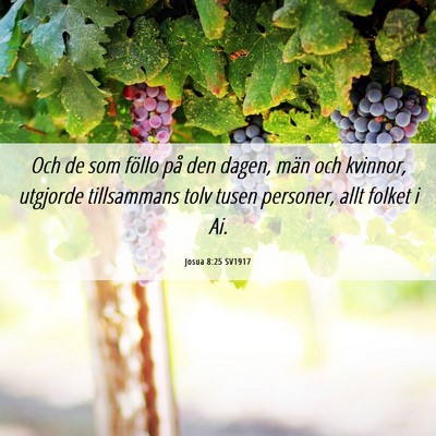 Picture 06 - Josua 8:25 SV1917 - Och de som föllo på den dagen, män och - Bible Verse Picture
