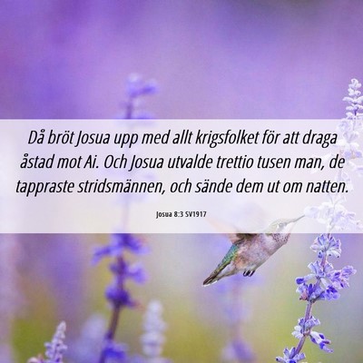 Picture 06 - Josua 8:3 SV1917 - Då bröt Josua upp med allt krigsfolket för att - Bible Verse Picture