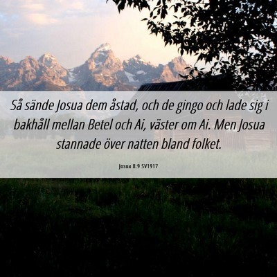 Picture 06 - Josua 8:9 SV1917 - Så sände Josua dem åstad, och de gingo och - Bible Verse Picture