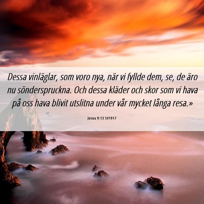 Picture 06 - Josua 9:13 SV1917 - Dessa vinläglar, som voro nya, när vi fyllde - Bible Verse Picture