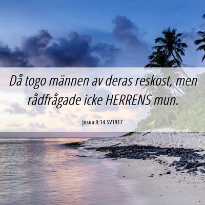 Picture 06 - Josua 9:14 SV1917 - Då togo männen av deras reskost, men - Bible Verse Picture