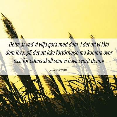 Picture 06 - Josua 9:20 SV1917 - Detta är vad vi vilja göra med dem, i det att - Bible Verse Picture