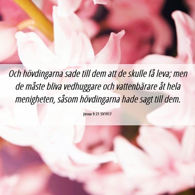 Picture 06 - Josua 9:21 SV1917 - Och hövdingarna sade till dem att de skulle få - Bible Verse Picture