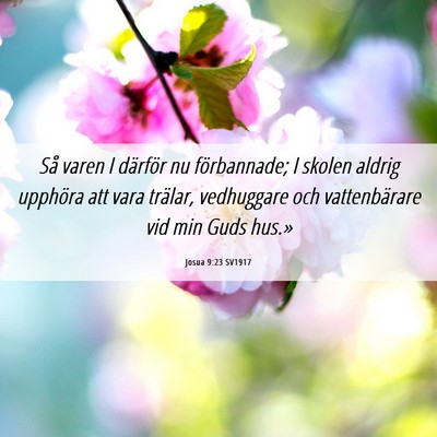 Picture 06 - Josua 9:23 SV1917 - Så varen I därför nu förbannade; I skolen - Bible Verse Picture