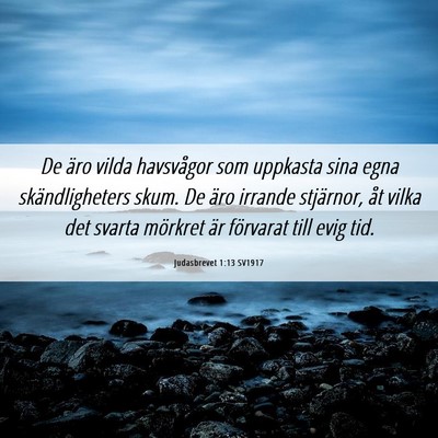 Picture 06 - Judasbrevet 1:13 SV1917 - De äro vilda havsvågor som uppkasta sina egna - Bible Verse Picture