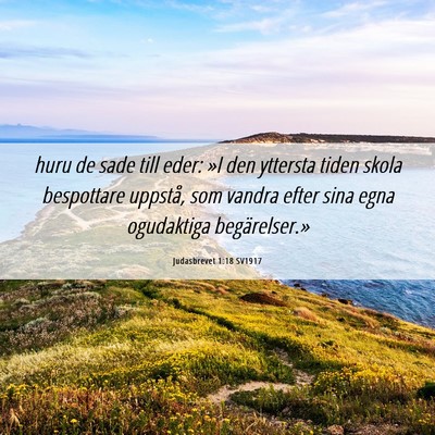 Picture 06 - Judasbrevet 1:18 SV1917 - huru de sade till eder: »I den yttersta tiden - Bible Verse Picture