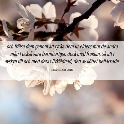Picture 06 - Judasbrevet 1:23 SV1917 - och frälsa dem genom att rycka dem ur elden; mot - Bible Verse Picture