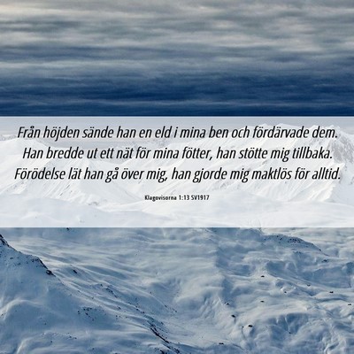Picture 06 - Klagovisorna 1:13 SV1917 - Från höjden sände han en eld i mina ben och - Bible Verse Picture