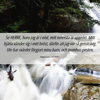 Picture 06 - Klagovisorna 1:20 SV1917 - Se HERRE, huru jag är i nöd, mitt innersta är - Bible Verse Picture