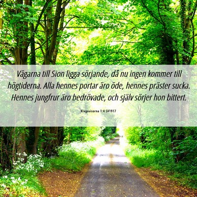 Picture 06 - Klagovisorna 1:4 SV1917 - Vägarna till Sion ligga sörjande, då nu ingen - Bible Verse Picture