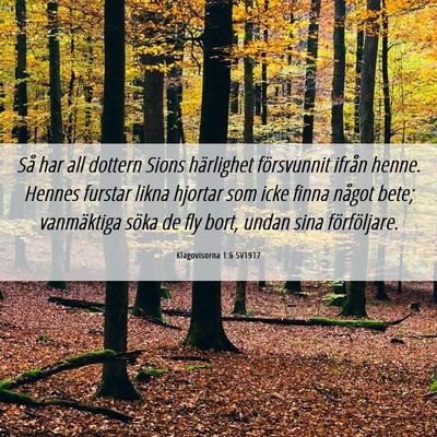 Picture 06 - Klagovisorna 1:6 SV1917 - Så har all dottern Sions härlighet försvunnit - Bible Verse Picture