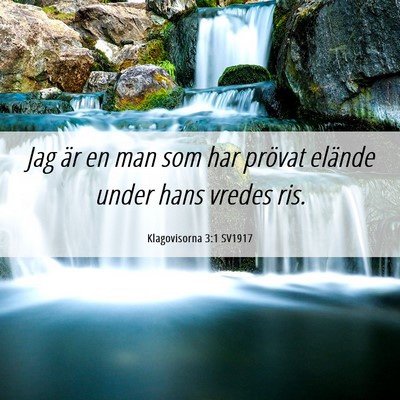 Picture 06 - Klagovisorna 3:1 SV1917 - Jag är en man som har prövat elände under hans - Bible Verse Picture