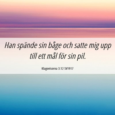 Picture 06 - Klagovisorna 3:12 SV1917 - Han spände sin båge och satte mig upp till ett - Bible Verse Picture