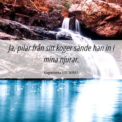 Picture 06 - Klagovisorna 3:13 SV1917 - Ja, pilar från sitt koger sände han in i mina - Bible Verse Picture
