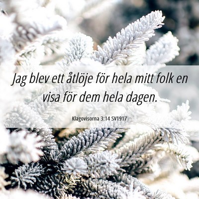 Picture 06 - Klagovisorna 3:14 SV1917 - Jag blev ett åtlöje för hela mitt folk en visa - Bible Verse Picture