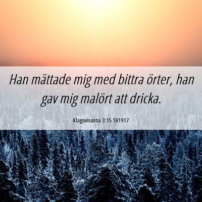 Picture 06 - Klagovisorna 3:15 SV1917 - Han mättade mig med bittra örter, han gav mig - Bible Verse Picture