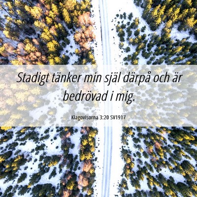 Picture 06 - Klagovisorna 3:20 SV1917 - Stadigt tänker min själ därpå och är - Bible Verse Picture