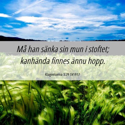 Picture 06 - Klagovisorna 3:29 SV1917 - Må han sänka sin mun i stoftet; kanhända - Bible Verse Picture
