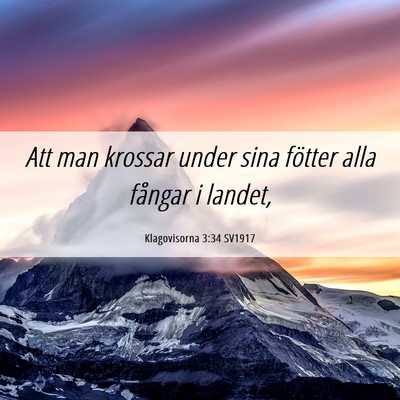 Picture 06 - Klagovisorna 3:34 SV1917 - Att man krossar under sina fötter alla fångar i - Bible Verse Picture