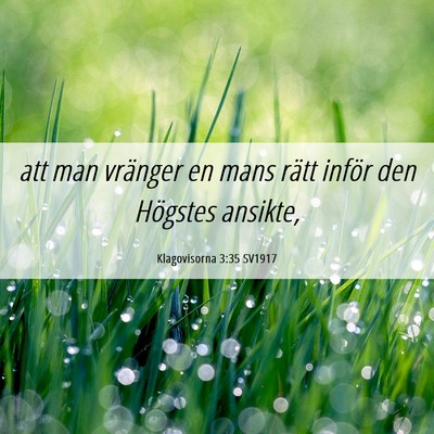 Picture 06 - Klagovisorna 3:35 SV1917 - att man vränger en mans rätt inför den - Bible Verse Picture