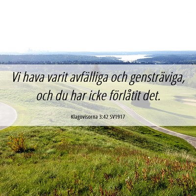 Picture 06 - Klagovisorna 3:42 SV1917 - Vi hava varit avfälliga och gensträviga, och du - Bible Verse Picture