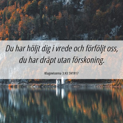 Picture 06 - Klagovisorna 3:43 SV1917 - Du har höljt dig i vrede och förföljt oss, du - Bible Verse Picture