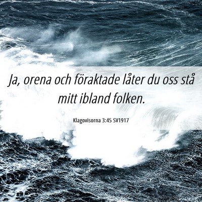 Picture 06 - Klagovisorna 3:45 SV1917 - Ja, orena och föraktade låter du oss stå mitt - Bible Verse Picture