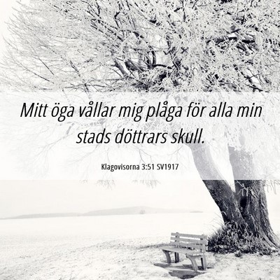 Picture 06 - Klagovisorna 3:51 SV1917 - Mitt öga vållar mig plåga för alla min stads - Bible Verse Picture