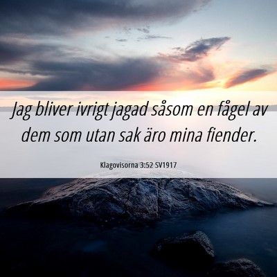 Picture 06 - Klagovisorna 3:52 SV1917 - Jag bliver ivrigt jagad såsom en fågel av dem - Bible Verse Picture