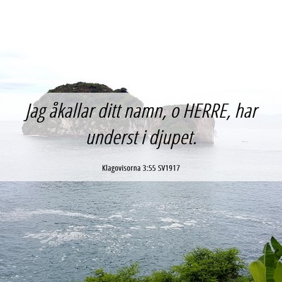 Picture 06 - Klagovisorna 3:55 SV1917 - Jag åkallar ditt namn, o HERRE, har underst i - Bible Verse Picture