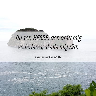 Picture 06 - Klagovisorna 3:59 SV1917 - Du ser, HERRE, den orätt mig vederfares; skaffa - Bible Verse Picture