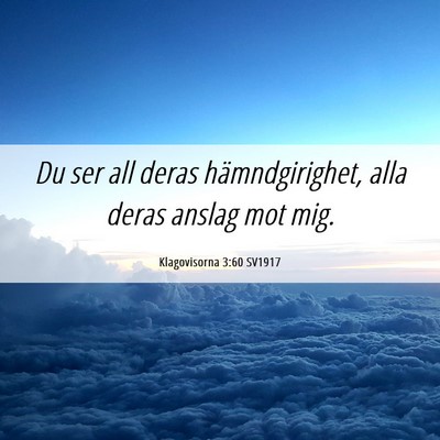 Picture 06 - Klagovisorna 3:60 SV1917 - Du ser all deras hämndgirighet, alla deras - Bible Verse Picture