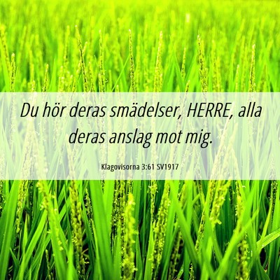 Picture 06 - Klagovisorna 3:61 SV1917 - Du hör deras smädelser, HERRE, alla deras - Bible Verse Picture