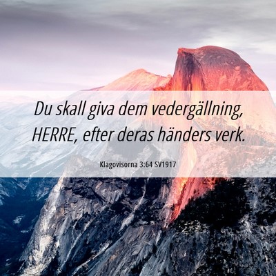 Picture 06 - Klagovisorna 3:64 SV1917 - Du skall giva dem vedergällning, HERRE, efter - Bible Verse Picture