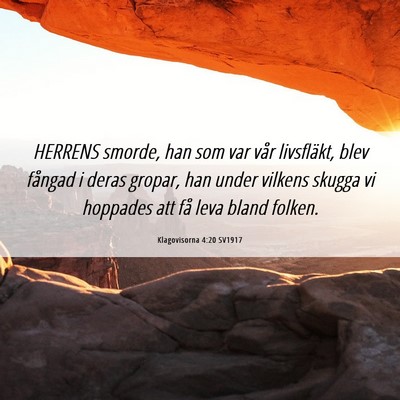 Picture 06 - Klagovisorna 4:20 SV1917 - HERRENS smorde, han som var vår livsfläkt, blev - Bible Verse Picture